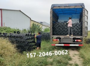 镀锌除尘骨架304不锈钢除尘袋笼工业有机硅耐高温喷涂除尘器笼骨